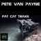 50 Shades of Bass - Pete Van Payne lyrics