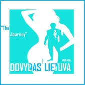 Dovydas Lietuva - The Journey