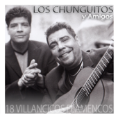 Los Chunguitos y Amigos. 18 Villancicos Flamencos - Varios Artistas
