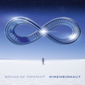 Sound of Contact - Remote View
