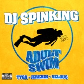 Adult Swim (feat. Tyga, Jeremih & Velous) artwork