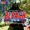 Netsuretsu! Anison Spirits the Best - Cover Music Selection - TV Anime Series "Bleach", Vol. 4 - Various Artists