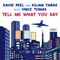 Tell Me What You Say (Manu Sanchez Remix) - David Peel & Kilian Taras lyrics