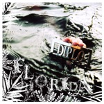 Diplo - Florida