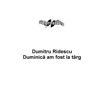 Dumitru Ridescu - Anii de-as putea sa intorc