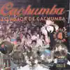 Stream & download Lo Mejor de Cachumba (En Vivo)