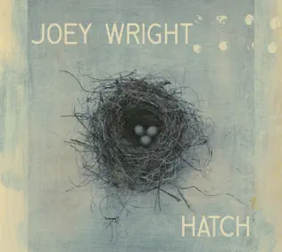 descargar álbum Joey Wright - Hatch