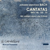 Cantata No. 146, "Wir müssen durch viel Trübsal", BWV 146: I. Sinfonia artwork