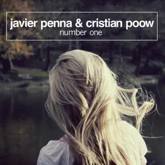 Number One (Radio Mix) by Javier Penna & Cristian Poow song reviws