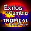 Tropical del Bravo - Coquito de Agua