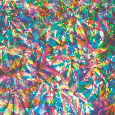 Your Love Will Set You Free (c2's Set U Free RMX) - Single - Caribou