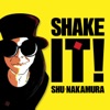 Shake It! artwork