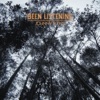 Been Listening artwork