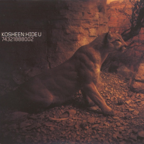 Cover artwork for Hide U