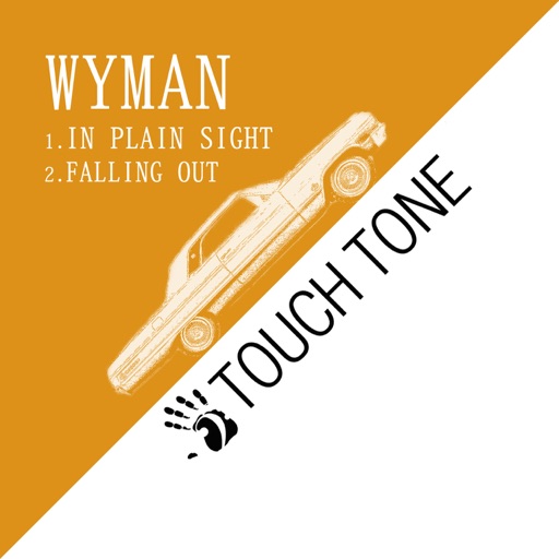 In Plain Sight / Falling Out - Single by Wyman