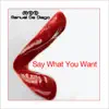 Stream & download Say What You Want - Single