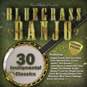 Bluegrass Banjo Power Picks: 30 Traditional Classics artwork