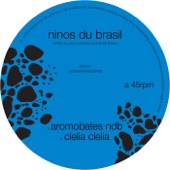 Aromobates NDB artwork