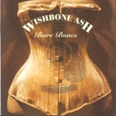 Wishbone Ash - Living Proof