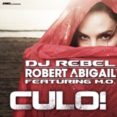 Culo! (Radio Edit) artwork