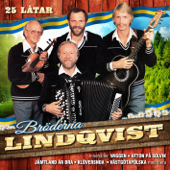 Wiggen - Bröderna Lindqvist