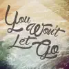 You Won't Let Go (No Matter Where) - Single album lyrics, reviews, download