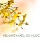 1000 Paper Cranes - Healing Massage Music Masters lyrics