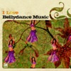 I Love Belly Dance Music