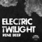 Electric Twilight (Arkay Remix) - Rene Beer lyrics