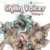 Chillin' Voices, Vol. 3 (Beautiful and Relaxing Vocal Lounge Music), 2015