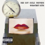 Scar Tissue by Red Hot Chili Peppers