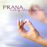 Prana – Amazing Calming Yoga Music for Meditation, Breathing, Pranayama, Asana & Yoga Meditation - Various Artists