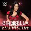 Stream & download WWE: Beautiful Life (Brie Bella) - Single