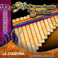 Música para Despertar los Sentidos - La Zampoña - Henry Benavides Música para Despertar los Sentidos - La Zampoña - Henry Benavides