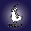 Pollo 2014 DJ - Single