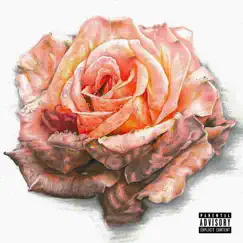 Gypsy Rose by Jaclyn Gee album reviews, ratings, credits