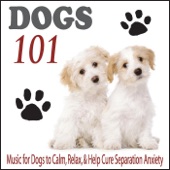 Dogs 101: Music for Dogs to Calm, Relax, & Help Cure Separation Anxiety artwork