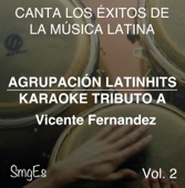 Instrumental Karaoke Series: Vicente Fernandez, Vol. 2 (Karaoke Version)