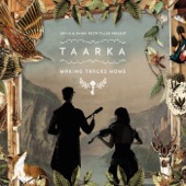 Taarka - Grounded