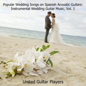 Popular Wedding Songs on Spanish Acoustic Guitars: Instrumental Wedding Guitar Music, Vol. 1 artwork