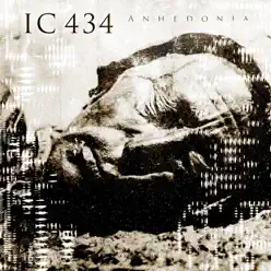 Anhedonia - Ic 434