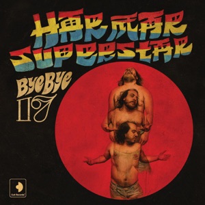 Har Mar Superstar: Lady, You Shot Me