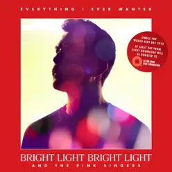 Everything I Ever Wanted (World AIDS Day Special Version) - Single - Bright Light Bright Light