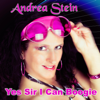 Yes Sir I Can Boogie - Andrea Stein