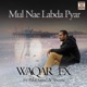 MUL NAE LABDA PYAR cover art