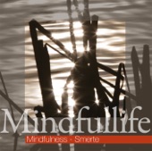 Mindfulness - Smerte (Mindfulness meditationer til lindring af smerter) artwork