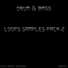 Loops Samples Pack 2