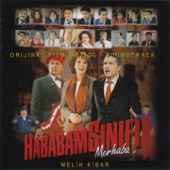 Hababam Sınıfı artwork