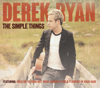 Derek Ryan - The Simple Things artwork