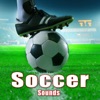 Sound Ideas - Small Crowd of Soccer Fans Watch a Match